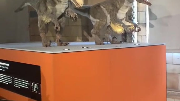 Natural History Museum